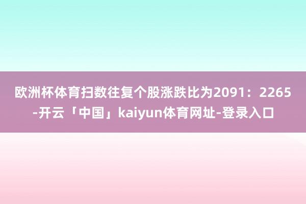 欧洲杯体育　　扫数往复个股涨跌比为2091：2265-开云「中国」kaiyun体育网址-登录入口
