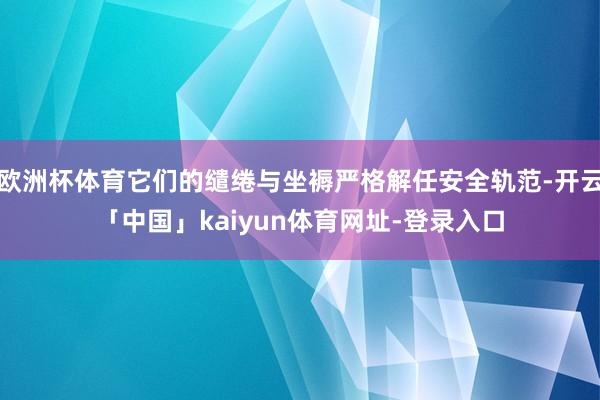 欧洲杯体育它们的缱绻与坐褥严格解任安全轨范-开云「中国」kaiyun体育网址-登录入口