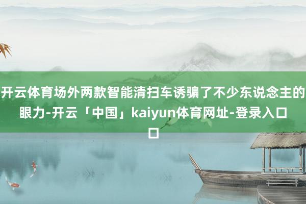 开云体育场外两款智能清扫车诱骗了不少东说念主的眼力-开云「中国」kaiyun体育网址-登录入口
