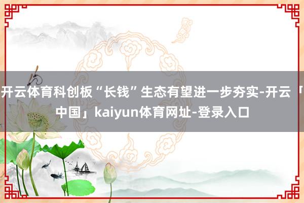 开云体育科创板“长钱”生态有望进一步夯实-开云「中国」kaiyun体育网址-登录入口