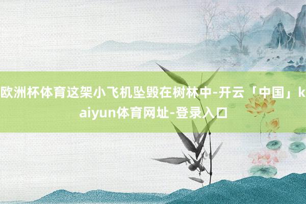 欧洲杯体育这架小飞机坠毁在树林中-开云「中国」kaiyun体育网址-登录入口