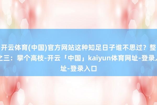 开云体育(中国)官方网站这种知足日子谁不思过？整个之三：攀个高枝-开云「中国」kaiyun体育网址-登录入口