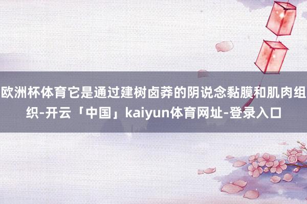欧洲杯体育它是通过建树卤莽的阴说念黏膜和肌肉组织-开云「中国」kaiyun体育网址-登录入口