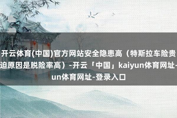 开云体育(中国)官方网站安全隐患高（特斯拉车险贵的一个蹙迫原因是脱险率高）-开云「中国」kaiyun体育网址-登录入口