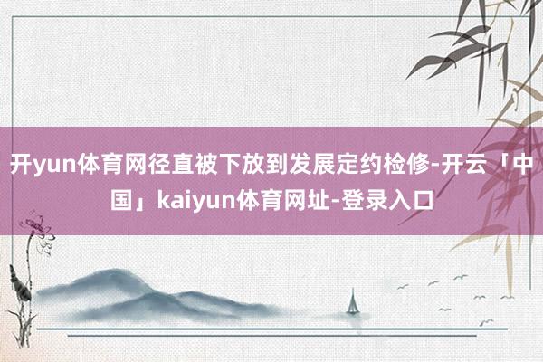 开yun体育网径直被下放到发展定约检修-开云「中国」kaiyun体育网址-登录入口
