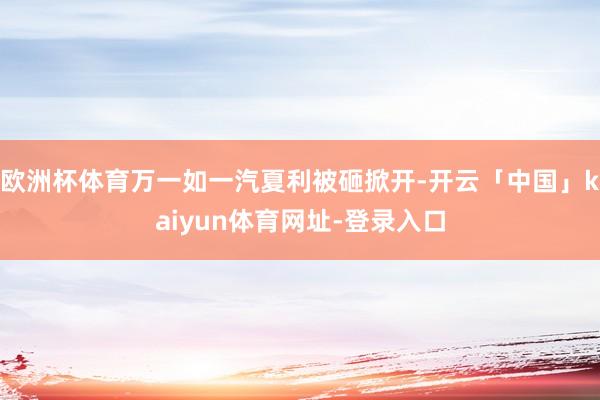 欧洲杯体育万一如一汽夏利被砸掀开-开云「中国」kaiyun体育网址-登录入口