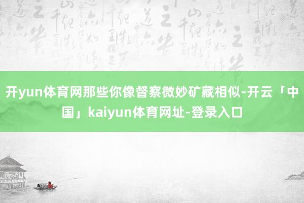 开yun体育网那些你像督察微妙矿藏相似-开云「中国」kaiyun体育网址-登录入口