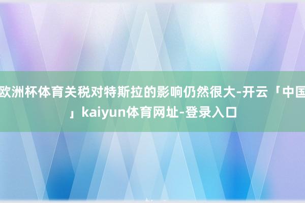 欧洲杯体育关税对特斯拉的影响仍然很大-开云「中国」kaiyun体育网址-登录入口